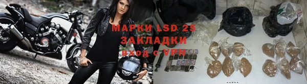 a pvp Алзамай