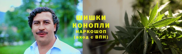 ГАЛЛЮЦИНОГЕННЫЕ ГРИБЫ Алексеевка
